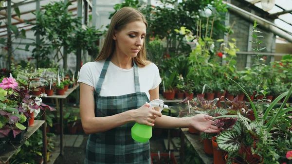 Привлекательная женщина садовник в фартуке полива растений и цветов с садовым распылителем в оранжерее — стоковое фото