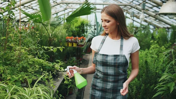 Aantrekkelijke vrouw tuinman in schort drenken planten en bloemen met tuin sproeier in kas — Stockfoto