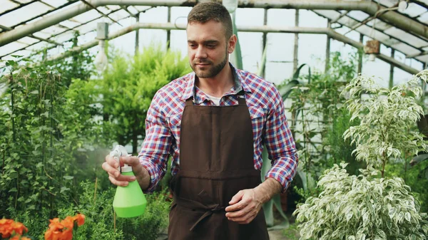 Привлекательный человек садовник в фартуке полива растений и цветов с садовым распылителем в теплице — стоковое фото