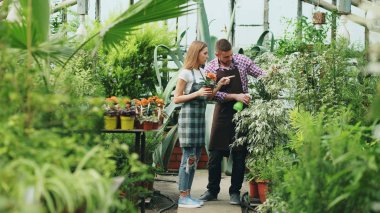 Çekici çift serada iş. Kadın bahçıvan Bahçe spreyi kocası onunla konuşmayı ise bitkilerin sulama önlük