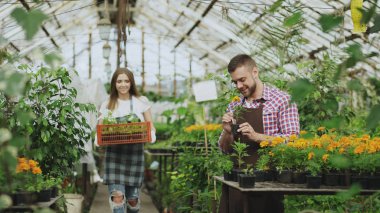 Önlük serada çalışan genç çekici Çiçekçiler çift. Neşeli kadın çiçek ve görüşmeler adam kutusuyla yürürken gevşetin bitki