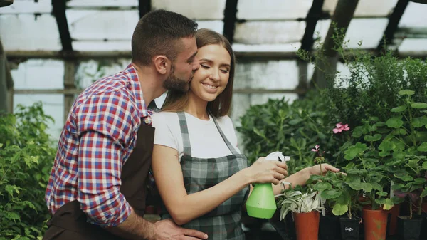 Familia florista joven feliz en delantal trabajando en invernadero. Atractivo hombre abrazar y besar a su esposa mientras ella regar flores con spray de jardín —  Fotos de Stock