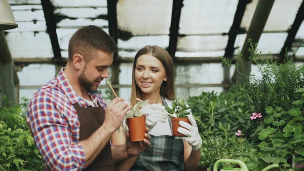 Mladá žena veselá zástěra a rukavice uvolnit v květu a chatování jeho přítel ve skleníku — Stock fotografie