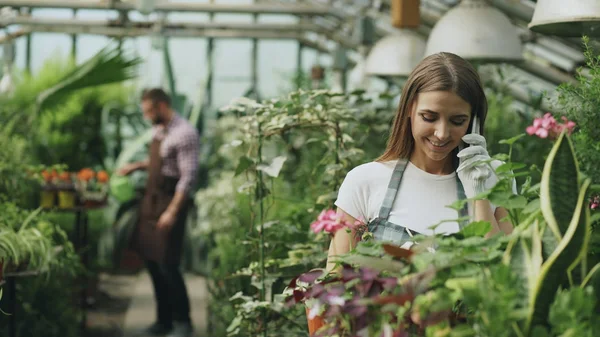 Joven mujer alegre en delantal y guantes hablando de teléfono mientras que las plantas de jardinería y aflojar el suelo en flor en invernadero —  Fotos de Stock