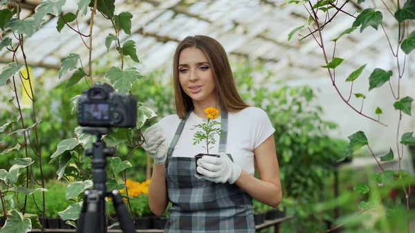 Молодая улыбающаяся блоггер-флористка в фартуке разговаривает и записывает видеоблог для своего онлайн-блога о садоводстве — стоковое фото