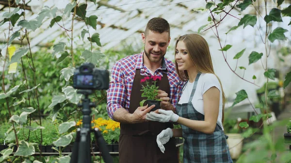 Joven blogger sonriente pareja jardineros en delantal sosteniendo flor hablando y grabando video blog para vlog en línea sobre jardinería —  Fotos de Stock
