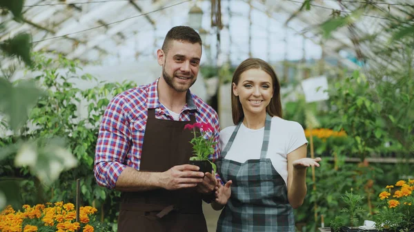 Pan shot de jeunes souriants blogueur couple jardiniers dans tablier tenant fleur parler et enregistrement vidéo blog pour vlog en ligne sur le jardinage — Photo