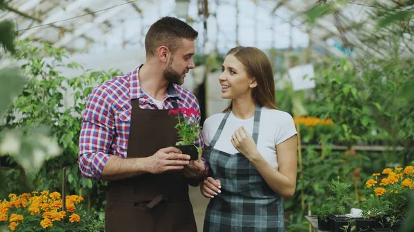 Çekici genç çift iş ve serada kapalı konuşuyor
