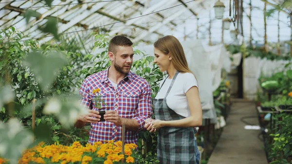 Jonge vriendelijke vrouw tuinman in gesprek met de klant en geven hem advies tijdens het werken in tuincentrum — Stockfoto
