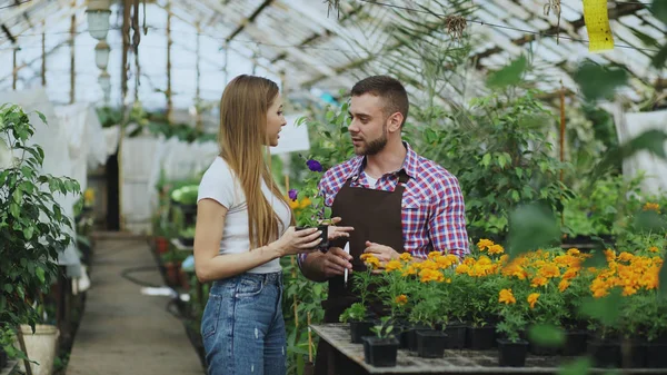 Młody, wesoły Kwiaciarnia mówić do klienta i doradztwo podczas pracy w centrum ogrodnicze — Zdjęcie stockowe