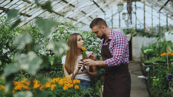 Молодой весельчак флорист беседует с клиентом и дает советы во время работы в садовом центре — стоковое фото