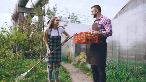 Una pareja atractiva trabaja cerca del invernadero. Hombre jardinero en delantal recoger la basura en el jardín, mientras que su esposa le habla caja de espera con flores —  Fotos de Stock