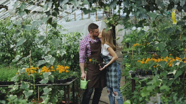 Happy young florist family in apron have fun during working in greenhouse. Attractive man embrace and kiss his wife — Stock Photo, Image