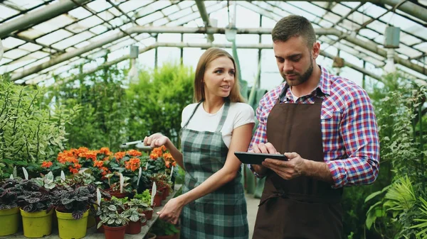 Genç çift Bahçe merkezinde çalışıyorum. Çekici bir adam cheking çiçek ve serada çalışma sırasında tablet bilgisayar kullanan kadın