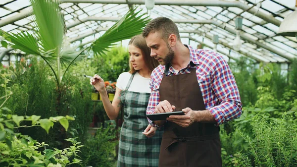 Pareja joven trabaja en el centro del jardín. Atractivo hombre cheking flores y mujer utilizando tableta durante el trabajo en invernadero —  Fotos de Stock
