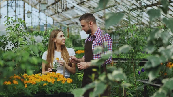 Jonge vrolijke man bloemist in gesprek met de klant en het geven van advies tijdens het werken in tuincentrum — Stockfoto