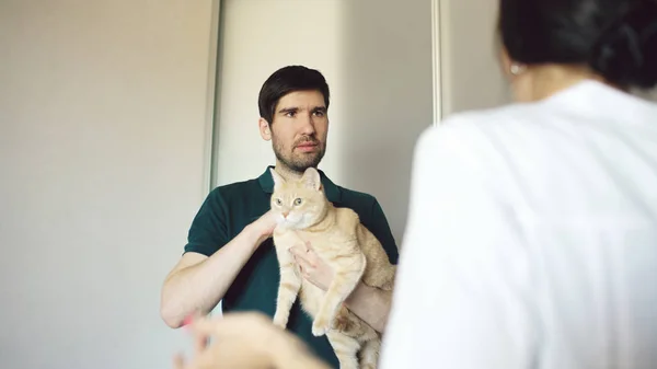 Homem proprietário do gato conversando com mulher veterinária no escritório veterinário — Fotografia de Stock