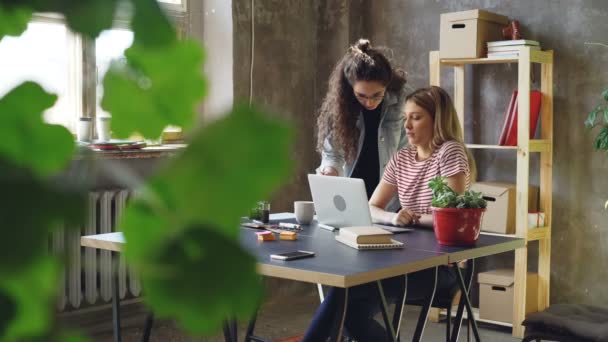 Los propietarios jóvenes de pequeñas empresas están trabajando con el ordenador portátil en la oficina de estilo loft moderno. Rubia está sentada y escribiendo, morena está de pie y sugiriendo ideas . — Vídeo de stock