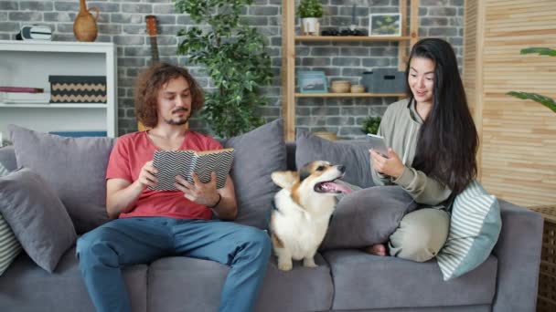 Novia y novio usando el libro de lectura de teléfonos inteligentes y acariciando perro corgi — Vídeos de Stock