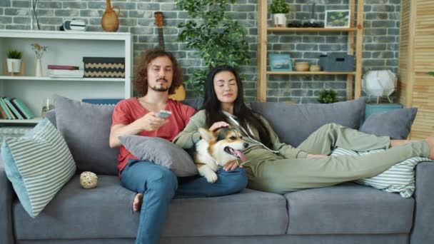 Молоді люди пара дивиться фільм по телевізору вдома з валлійською коргі собакою — стокове відео