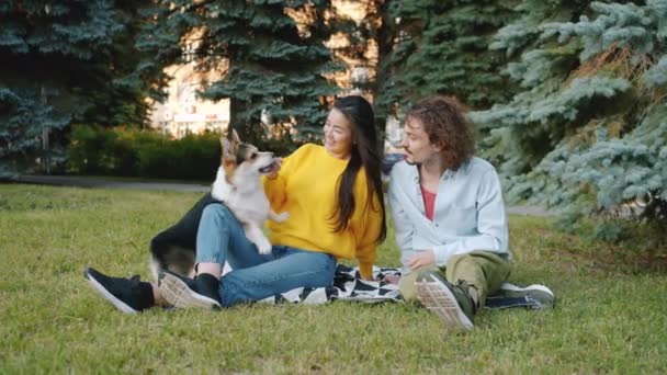 Feliz pareja relajante en parque acariciando corgi cachorro sentado en el césped juntos — Vídeo de stock