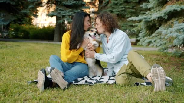 Медленное движение мужчины и женщины целуются с собакой корги сидя на газоне в парке — стоковое видео