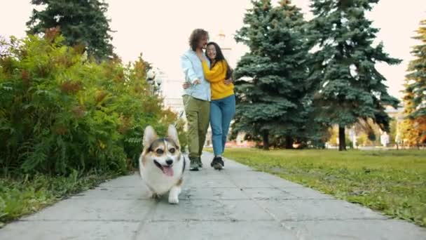 Dolly skott av corgi hund promenader i stadsparken med kysser par man och kvinna — Stockvideo