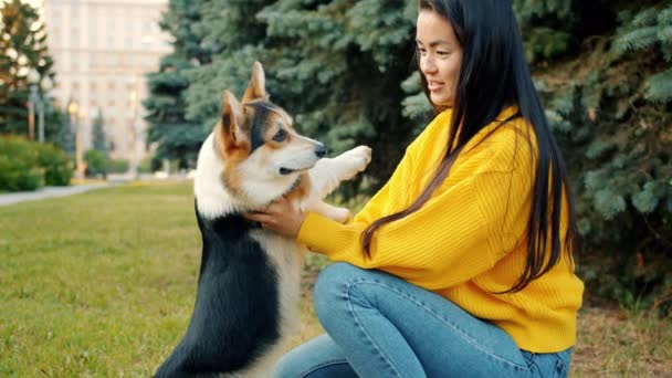 Joven asiática dama jugando con hermosa corgi cachorro en parque abrazando animal — Vídeo de stock