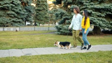 Sevgili çift ve kadın şehir parkında yürüyen Galli Corgi köpeği gevşetici konuşuyor.