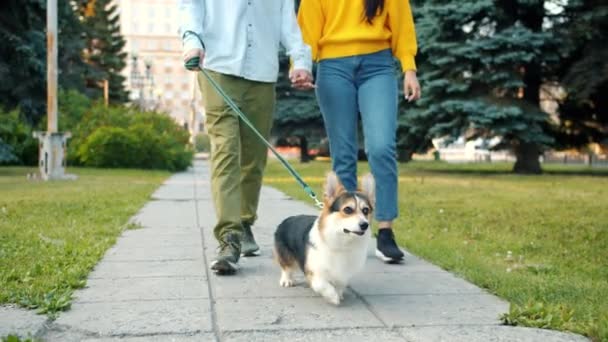 Tilt-up ευτυχείς νέοι άνθρωποι με τα πόδια welsh corgi σκυλί στο αστικό πάρκο φιλιά — Αρχείο Βίντεο