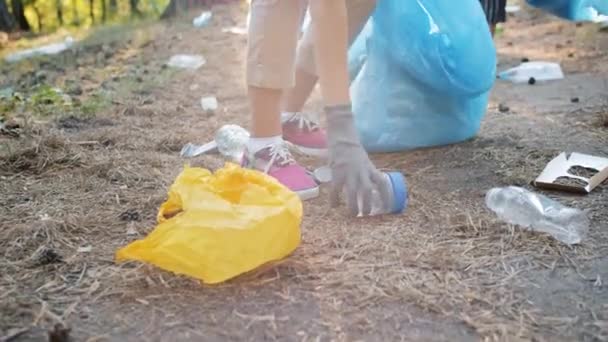 Grupo multi-racial de eco ativistas limpando floresta de lixo sorrindo no dia ensolarado — Vídeo de Stock