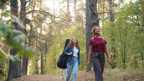 Ormanda gezen çok kültürlü öğrencilerin yavaş yavaş gülümsemesi rahatlatıcı. — Stok video