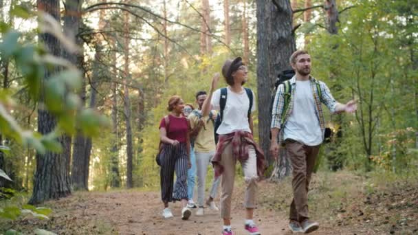 Группа путешественников девушки и парни, гуляющие в лесу говорить наслаждаясь природой — стоковое видео