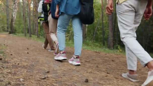 Nízký záběr turistů kráčejících v lese společně podél cesty mezi zelenými stromy — Stock video