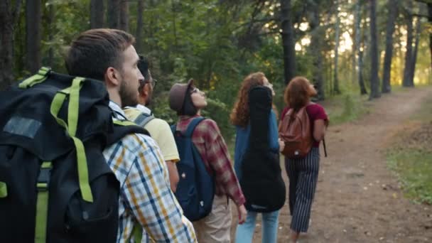 Movimento lento de amigos alegres andando na floresta olhando ao redor rindo apreciando viagem — Vídeo de Stock