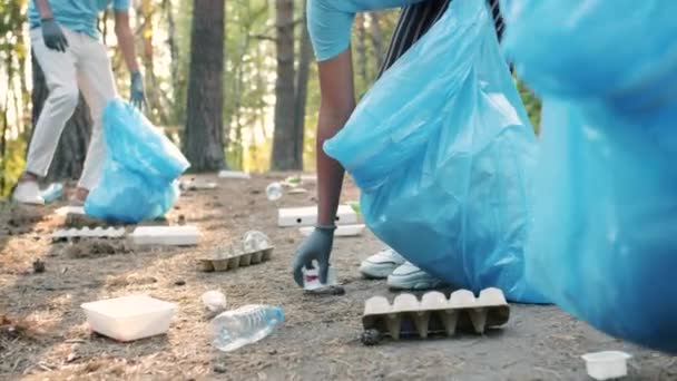 Крупный план мусора в лесу и руки в перчатках, собирающих мусор в мешки для мусора — стоковое видео