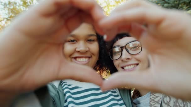Retrato de jóvenes amigas felices mostrando el gesto del corazón con las manos sonriendo — Vídeo de stock