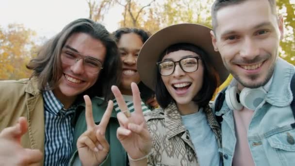 Point de vue d'hommes et de femmes joyeux prenant selfie dans le parc montrant pouces levés souriant — Video