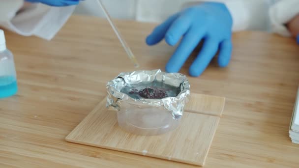 Gros plan de l'expérience chimique substance bouillante l et les scientifiques mains dans des gants en caoutchouc — Video