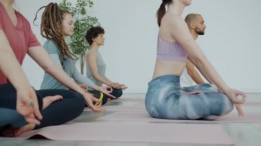 Bir grup genç stüdyoda yoga yaparken Lotus pozisyonunda meditasyon yapıyor.