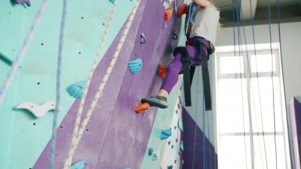 Little girl climbing up artificial wall in sports center concentrated on extreme activity — Stock Video