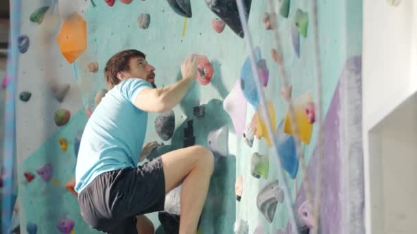 Attractive guy climbing indoors moving up artificial wall grabbing colorful rocks — Stock Video