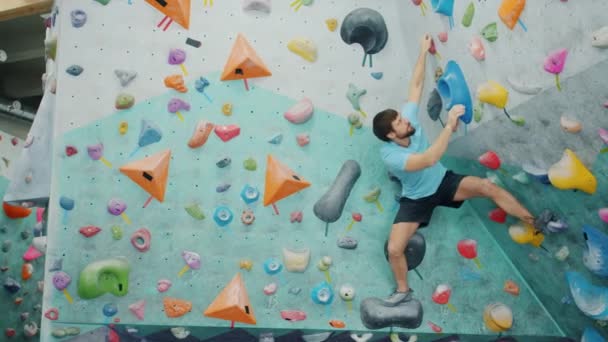 Сильный парень в спортивном костюме лазает по красочной искусственной стене в спортзале, захватывая скалы — стоковое видео
