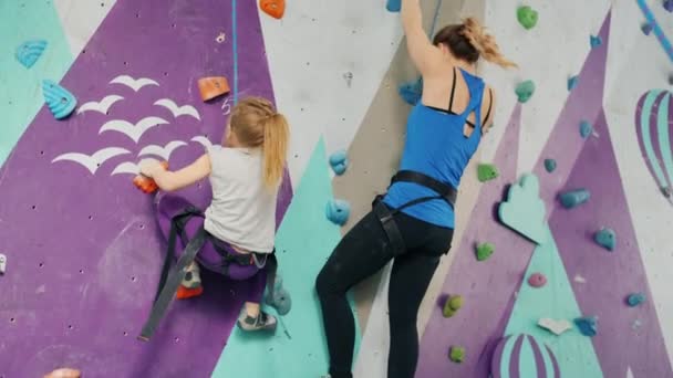 Little girl enjoying artificial wall climbing with mother doing high-five having fun together — Stock Video