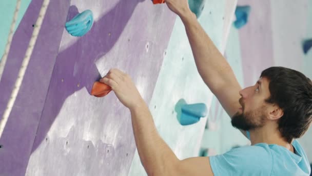 Attractive bearded guy climbing up the wall in rock-climbing gym enjoying activity — Stock Video
