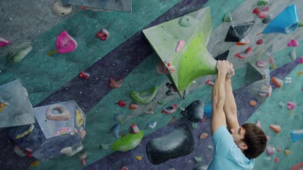 Handsome male climber pulling himself up artificial wall then falling on impact pad — Stock Video