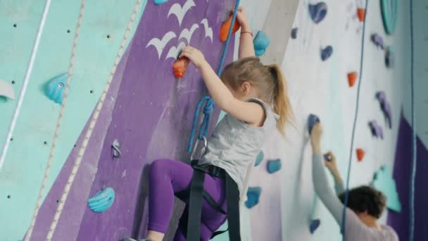 Klein meisje en jonge vrouw klimmen kunstmatige muur in de sportschool gericht op activiteit — Stockvideo