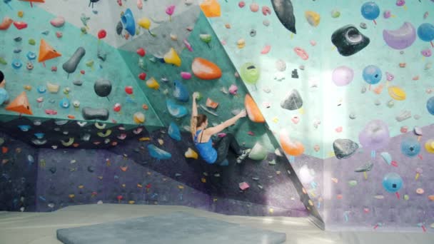 Professional climbers man and woman grabbing rocks moving up training indoors — Stock Video
