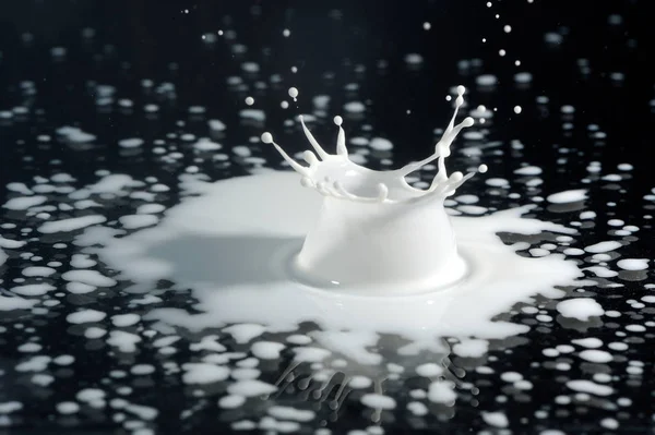 Milk Splash on Black Background — Stock Photo, Image