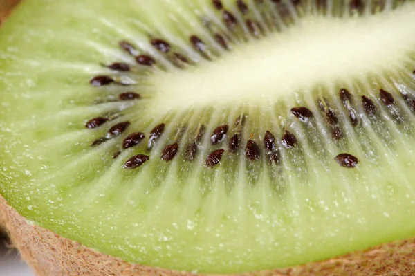 Kiwi slice makro — Stockfoto